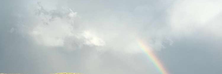 blazedlwts's profile banner image