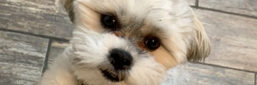 Matthews_Cam's profile banner image