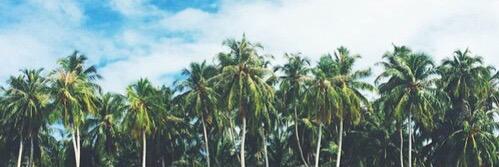 PayneGuurl's profile banner image