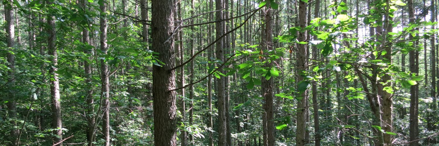 自然探索部@4/12 SB banner