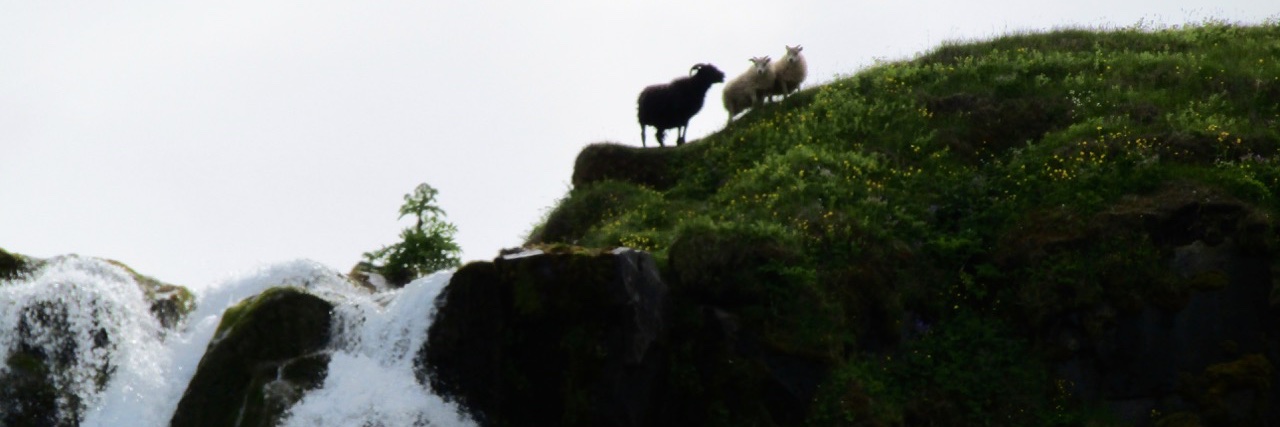 losethethread's profile banner image