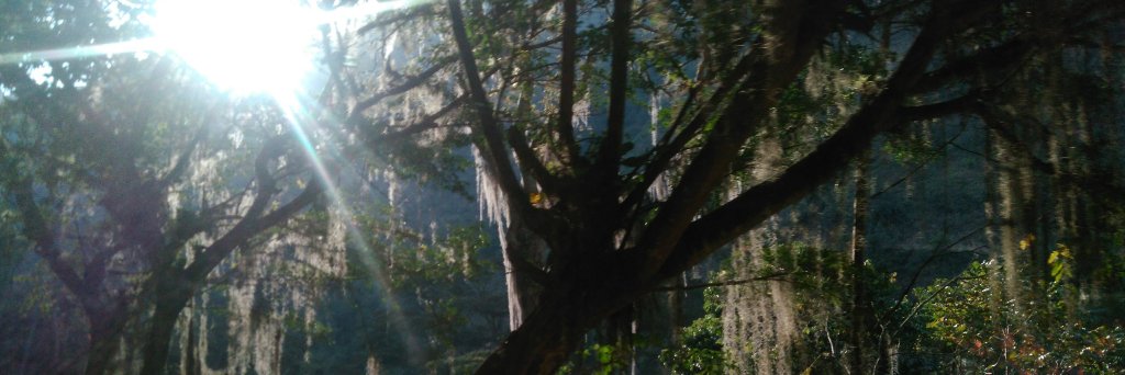 JackyYul's profile banner image