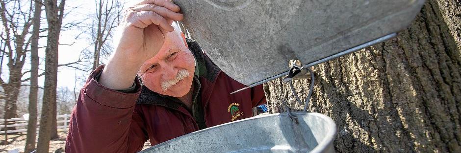 Record-Journal banner