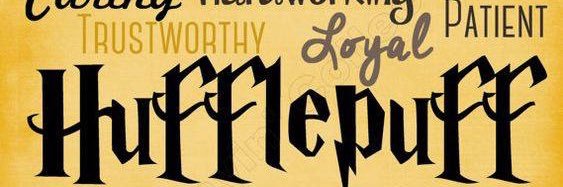 Meagan Bubulka banner