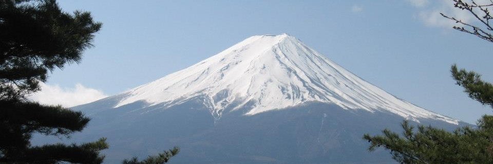 ポップ アンディ 🇺🇦 #IStandWithUkraine 4💉 banner