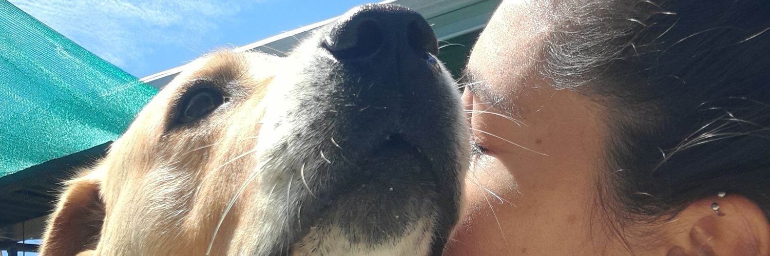 lore__suarez's profile banner image