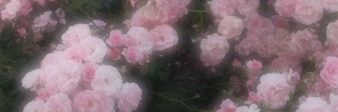 kumagyu3's profile banner image