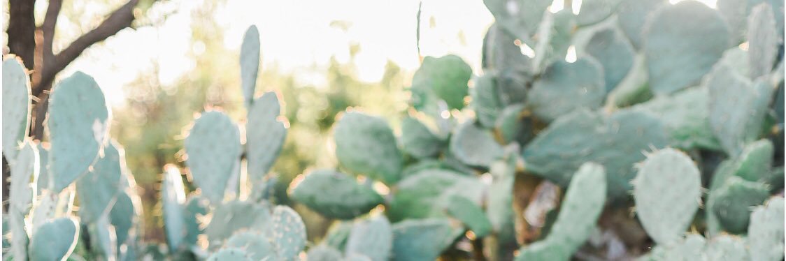abbeyyyb_'s profile banner image