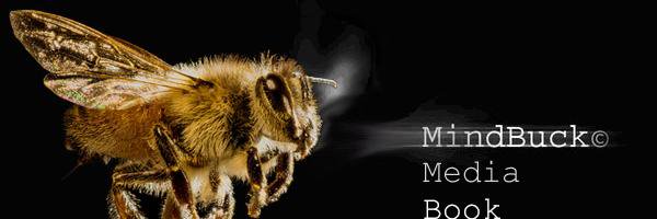 MindBuck Media banner