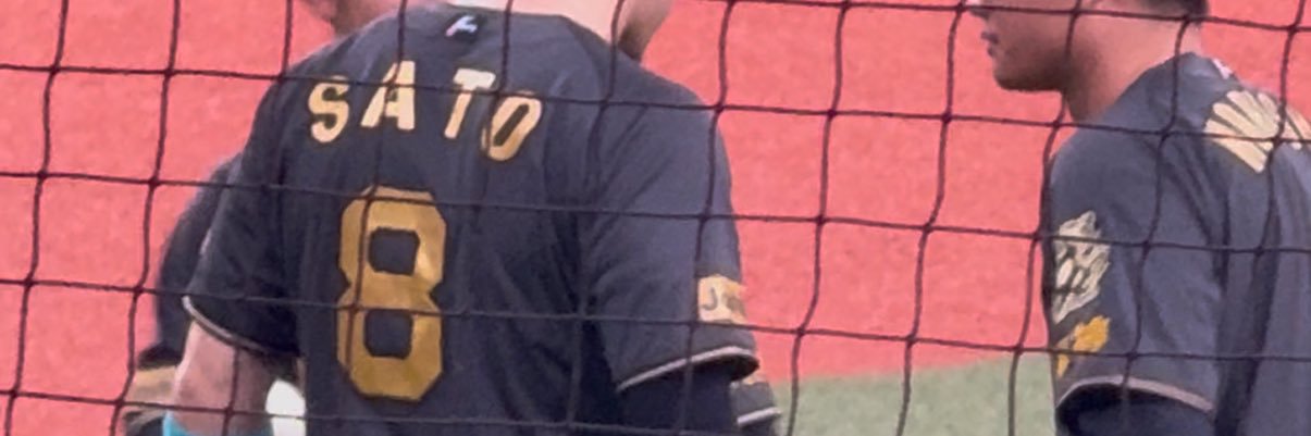 bonohyo's profile banner image