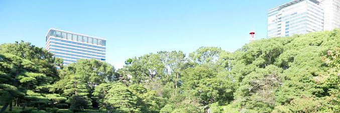 Sakigake_kuso's profile banner image