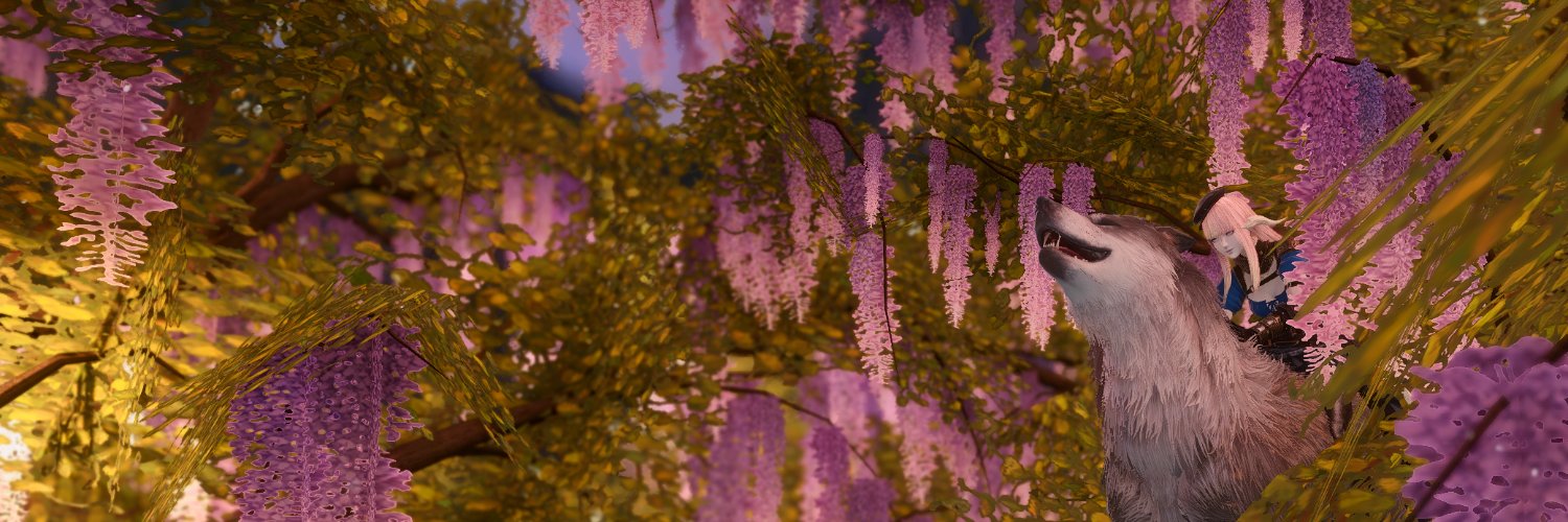 𝐂𝐨𝐜𝐨𝐫𝐨 banner