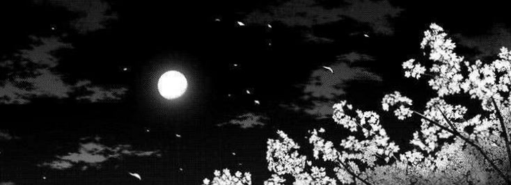 ilithyialuna5's profile banner image