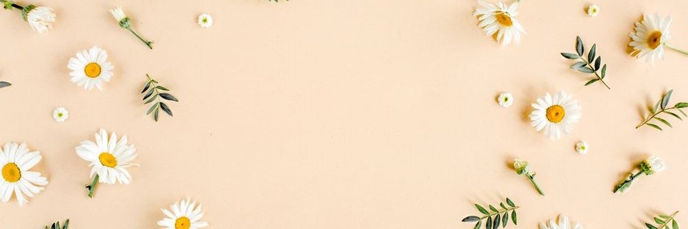 zelihaysa's profile banner image
