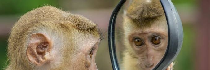 kijana ya chief🇰🇪 banner