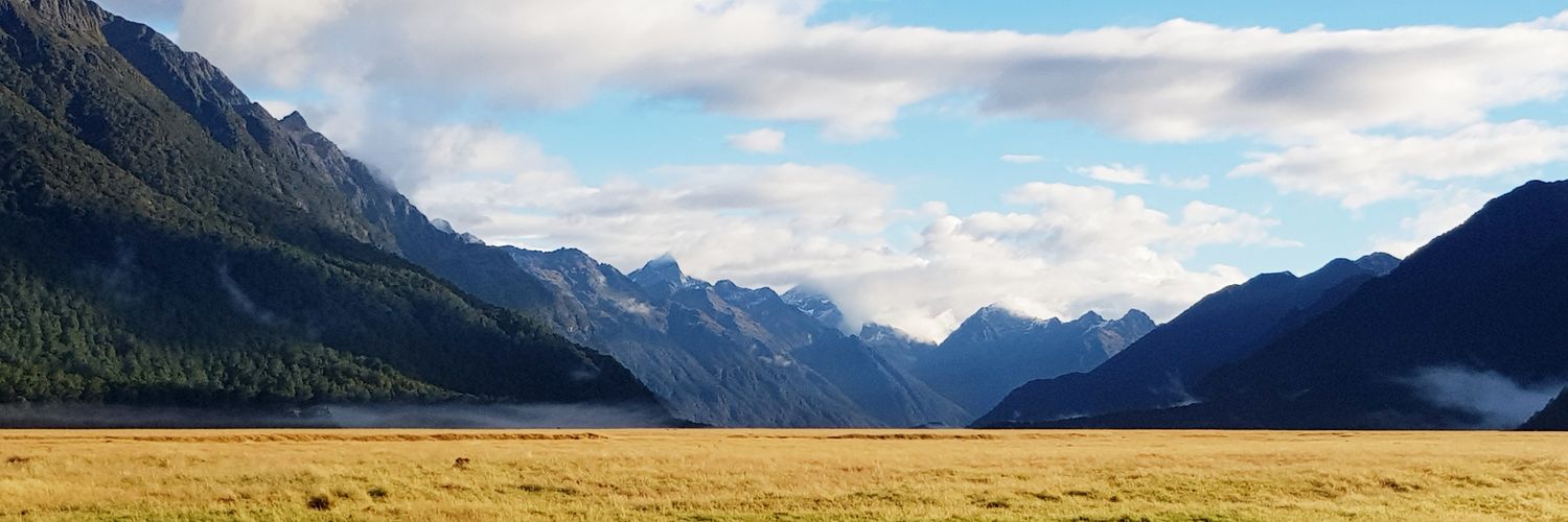 colliersalad's profile banner image