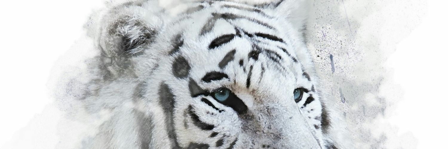 van_nelsonn's profile banner image