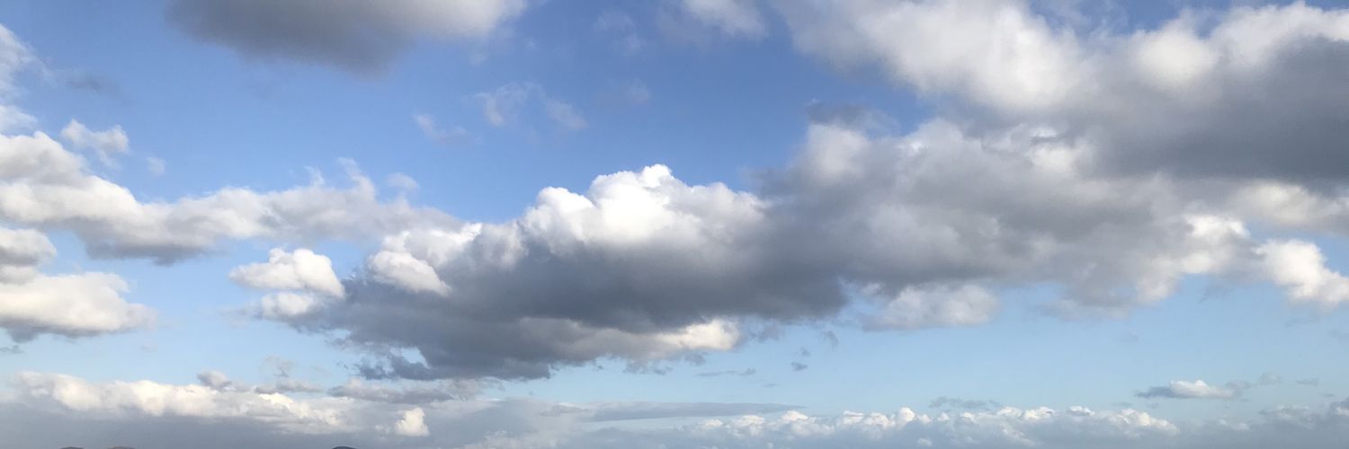えぞりす banner