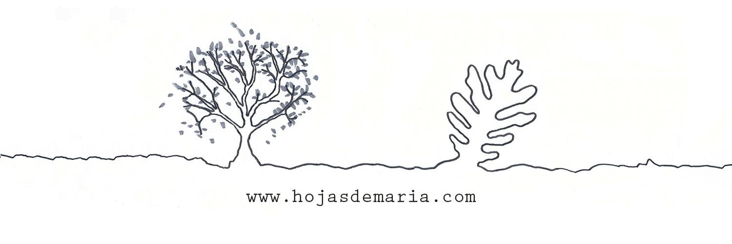 hojasdemaria's profile banner image