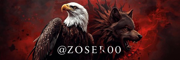 z0ser00 Profile Banner