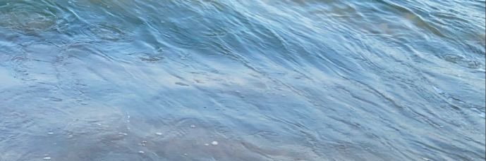 milalwitz's profile banner image
