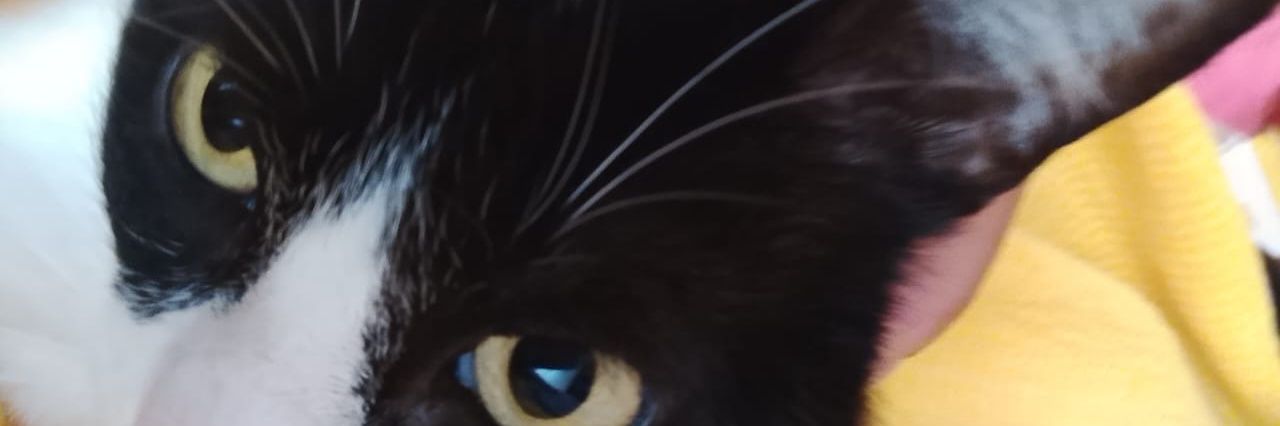 josediberty's profile banner image