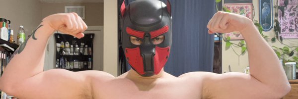 plvntfvg Profile Banner