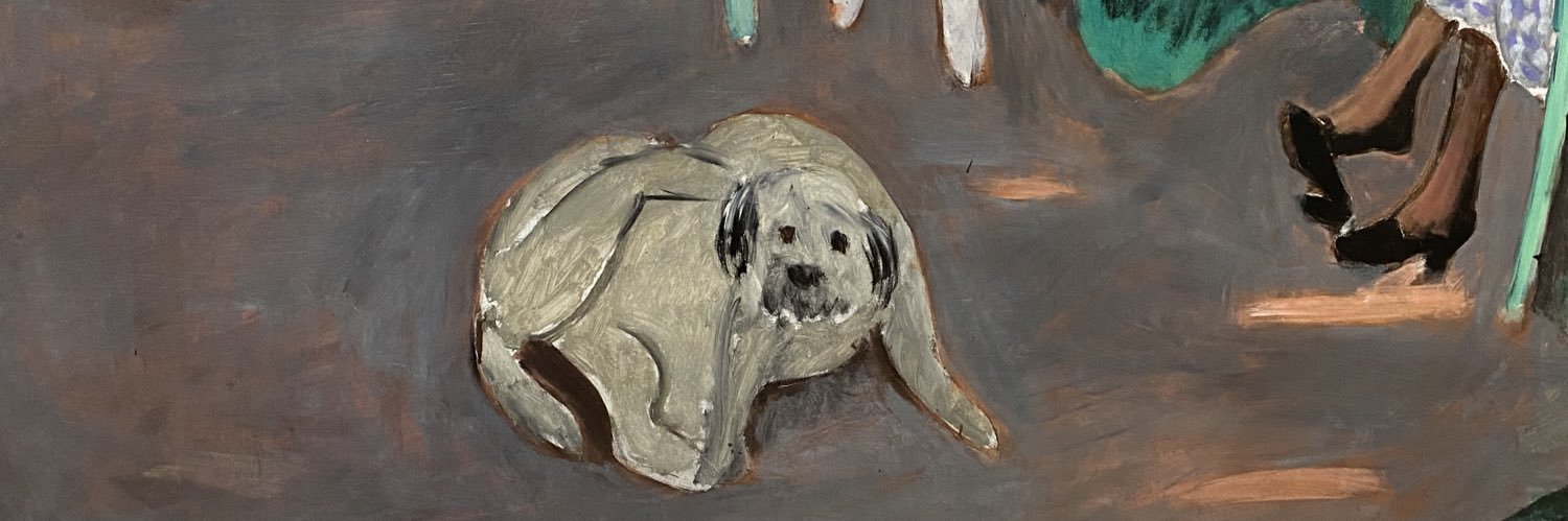 nicholas 🦝 banner