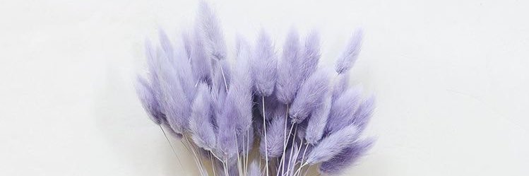 mdndyebri's profile banner image