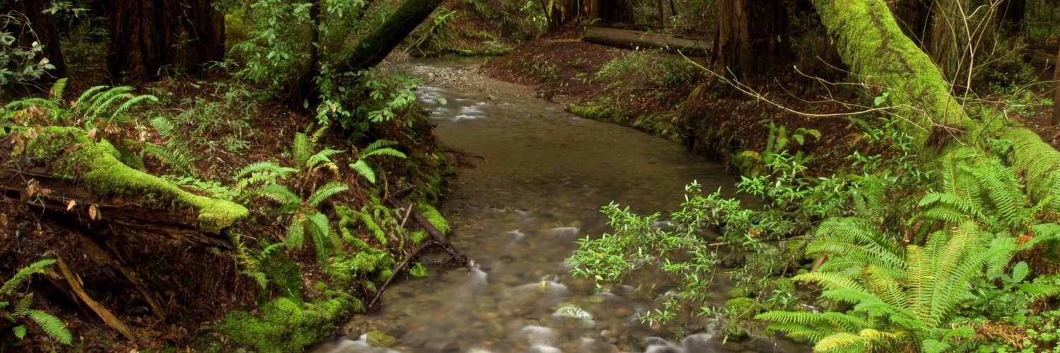 WilderBeau's profile banner image