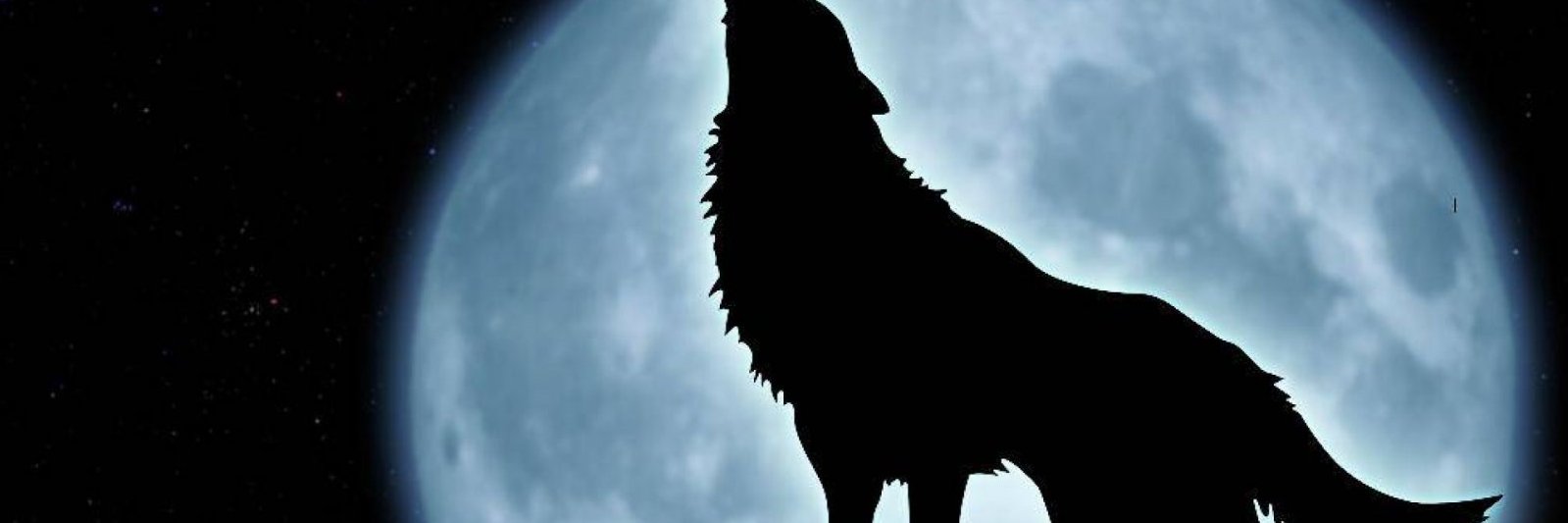 doctacba's profile banner image