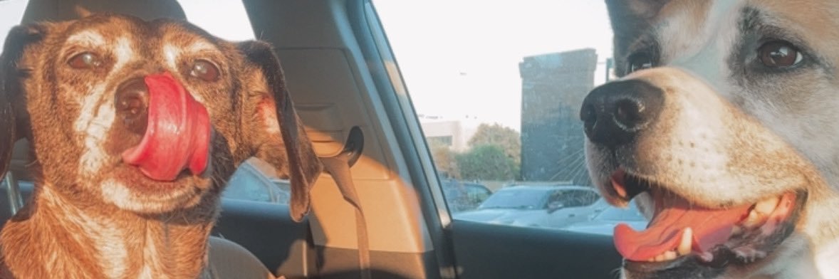alexmayfield's profile banner image