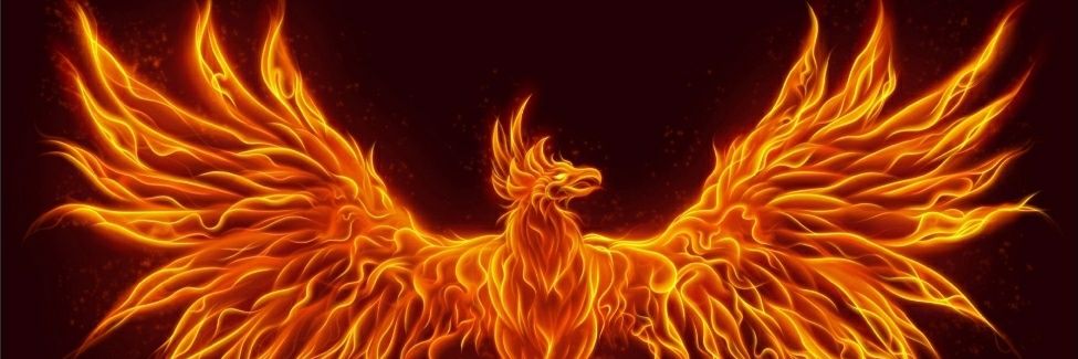 wingsoffire_m5's profile banner image