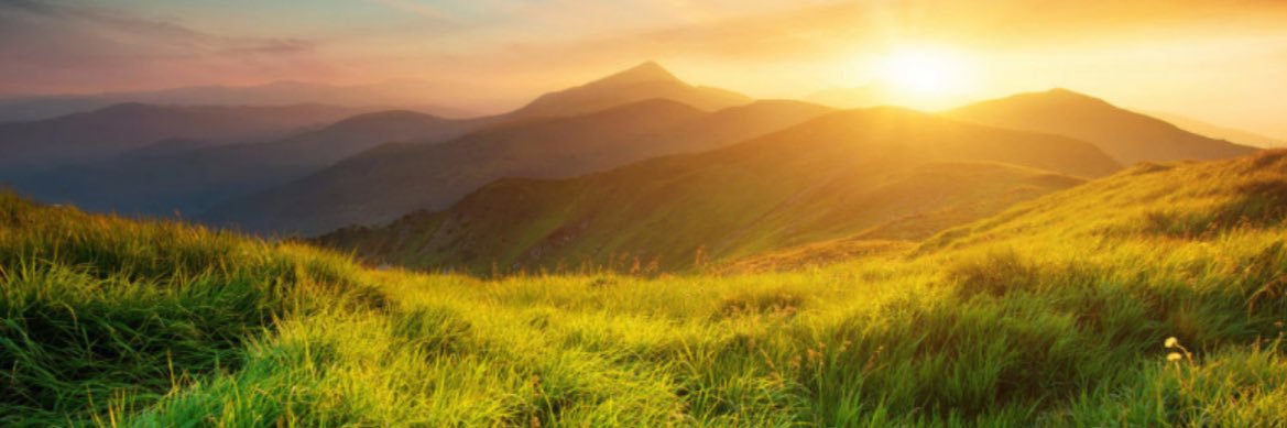 Felipe Gonzalez R banner