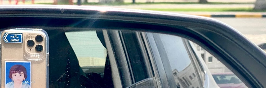 𝘋𝘌𝘌𝘔𝘈 🌺. banner