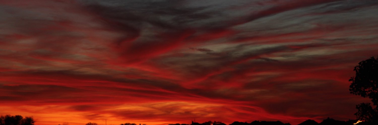 pauleonard's profile banner image