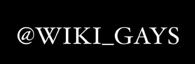 Wiki_gays's profile banner image
