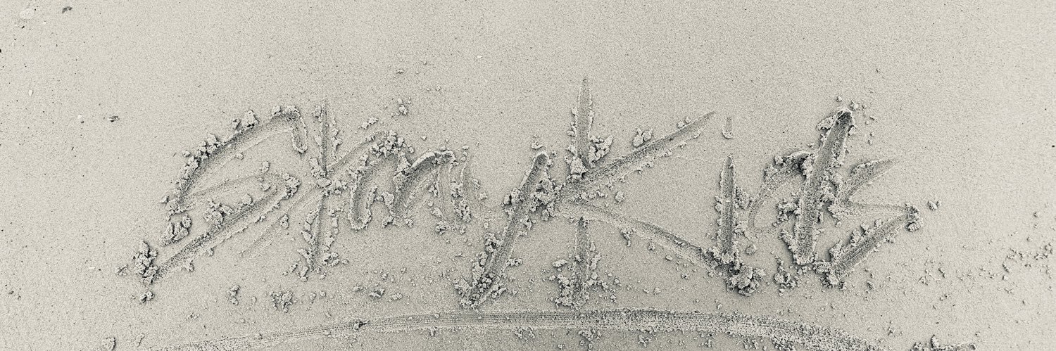 Concert’s Loverrr | 스테이 4EVER banner