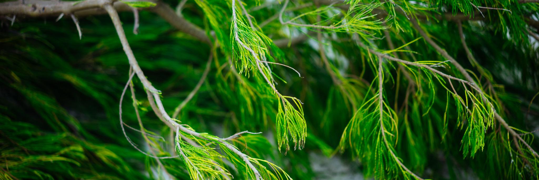 HRMarc13's profile banner image
