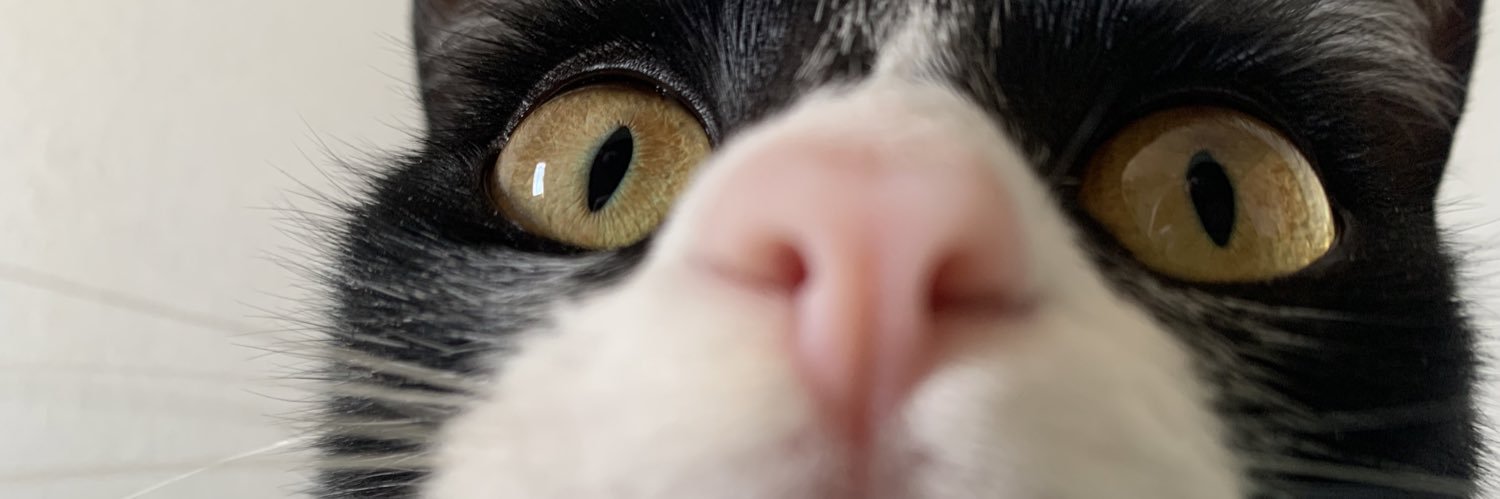 fuckuster's profile banner image