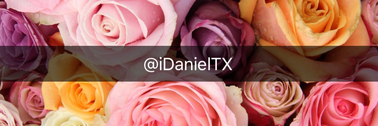 daniel koi. banner