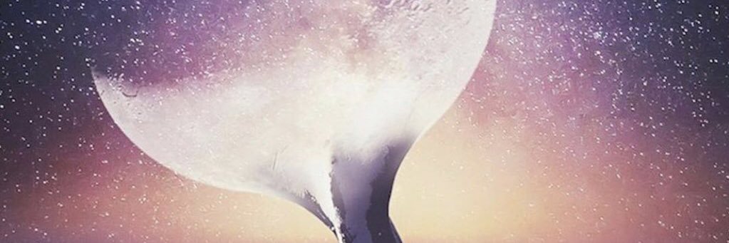 themodelsleader's profile banner image