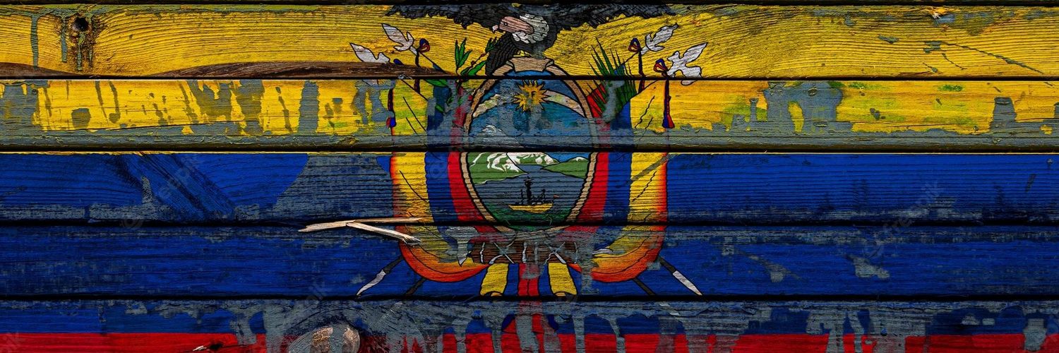 wannermoya's profile banner image