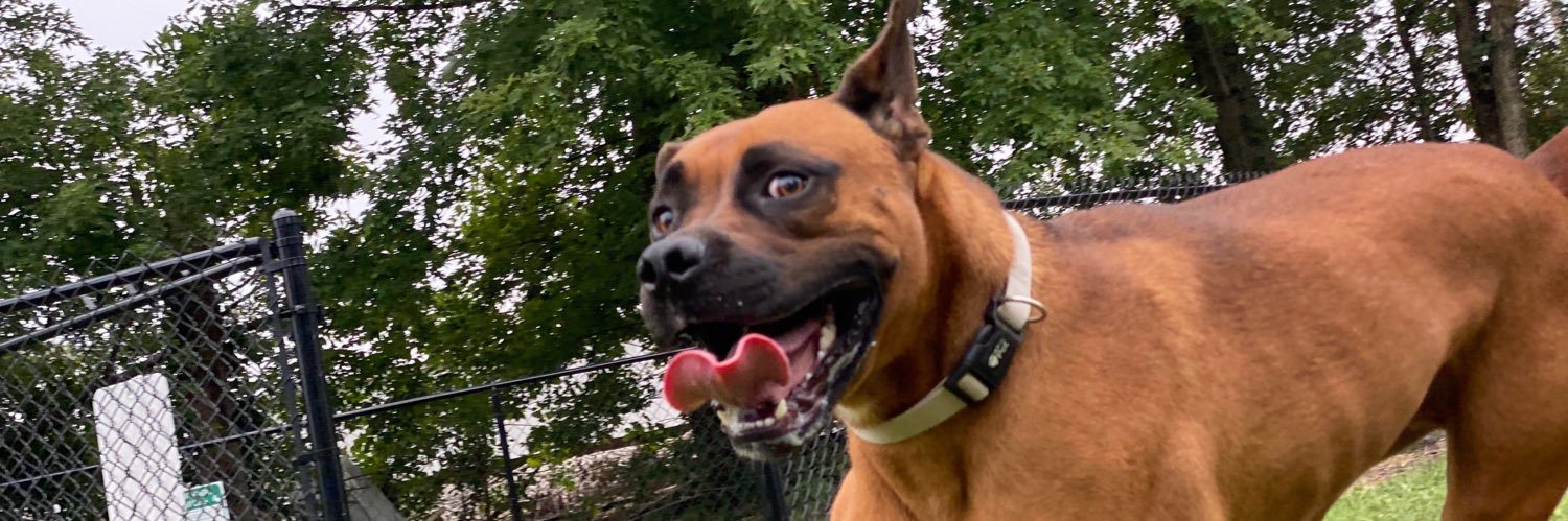 _markerrs's profile banner image