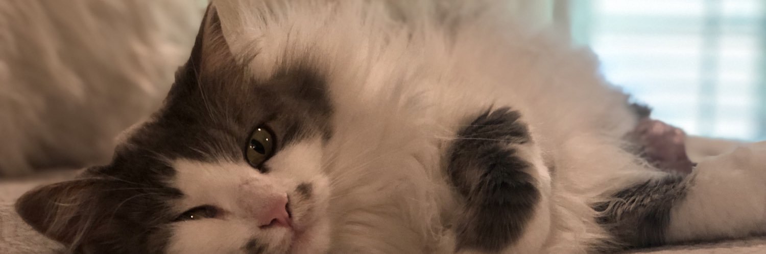 Carlyrayee's profile banner image