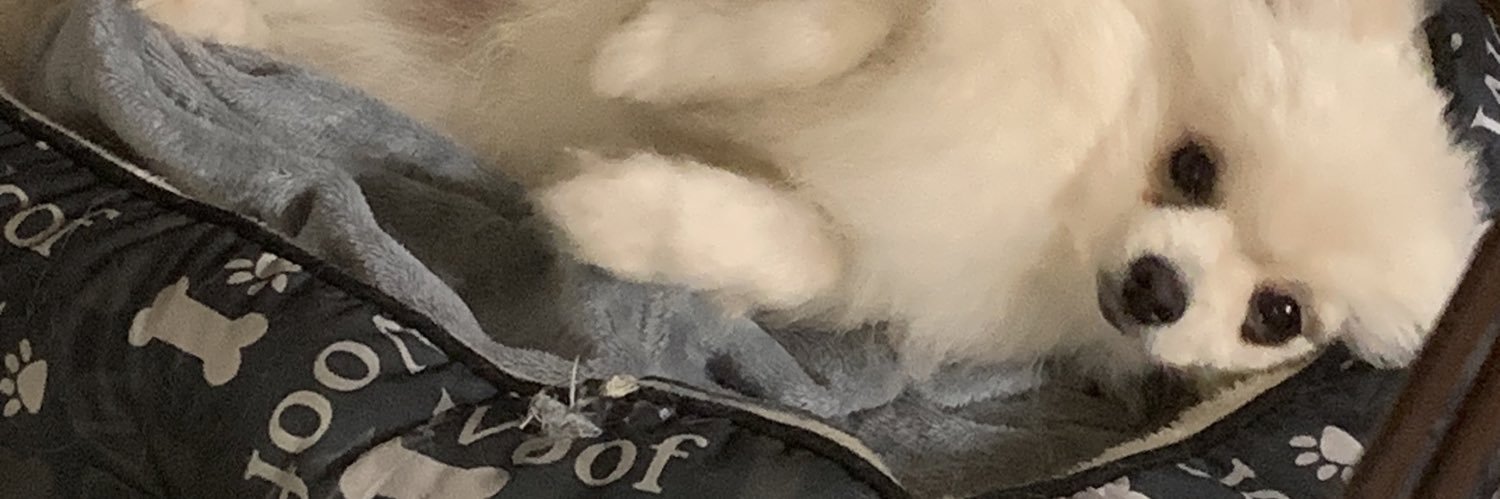 𝓡𝓮𝓷 banner