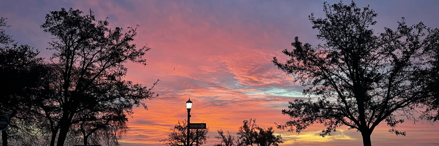 CarmenAPeck's profile banner image