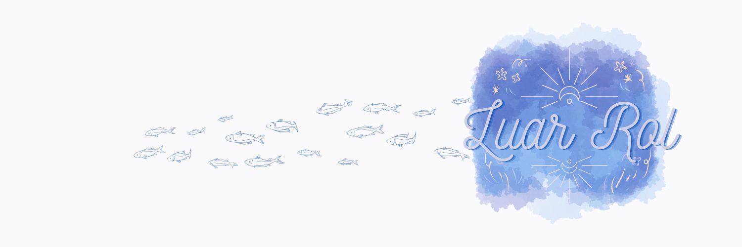 🫧’ Crucero hundido banner
