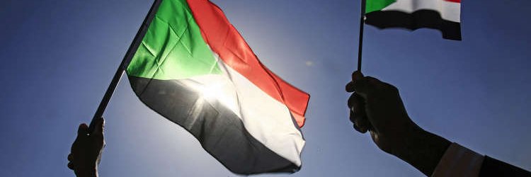 raniatoo's profile banner image