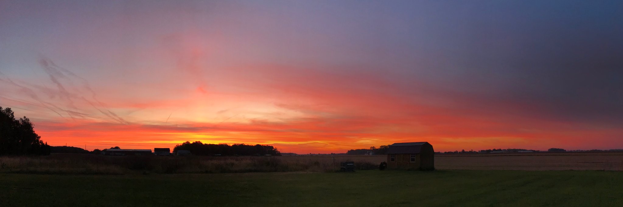 Grant Cummings banner
